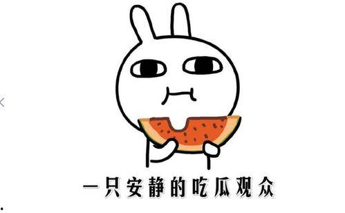 娱乐吃瓜名字怎么取的呀,揭秘“娱乐吃瓜”名字背后的趣味与智慧