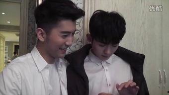 国产男同,情感与现实的交织